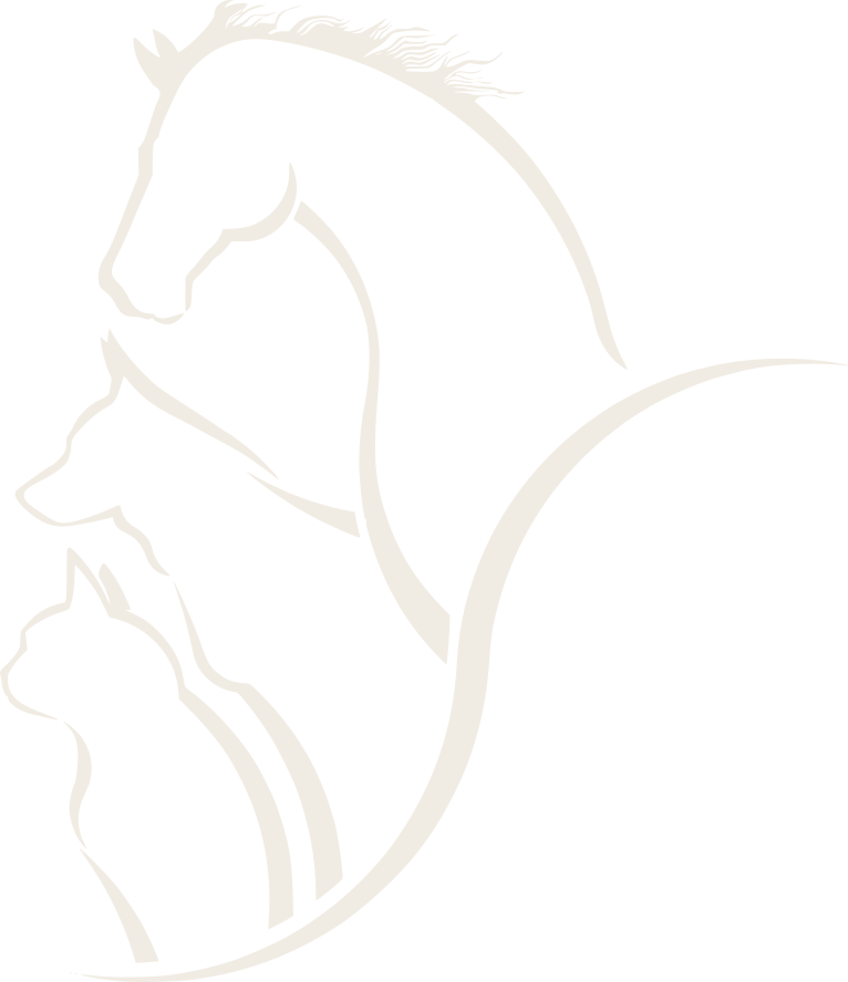Tierphysio Fischer Logo
