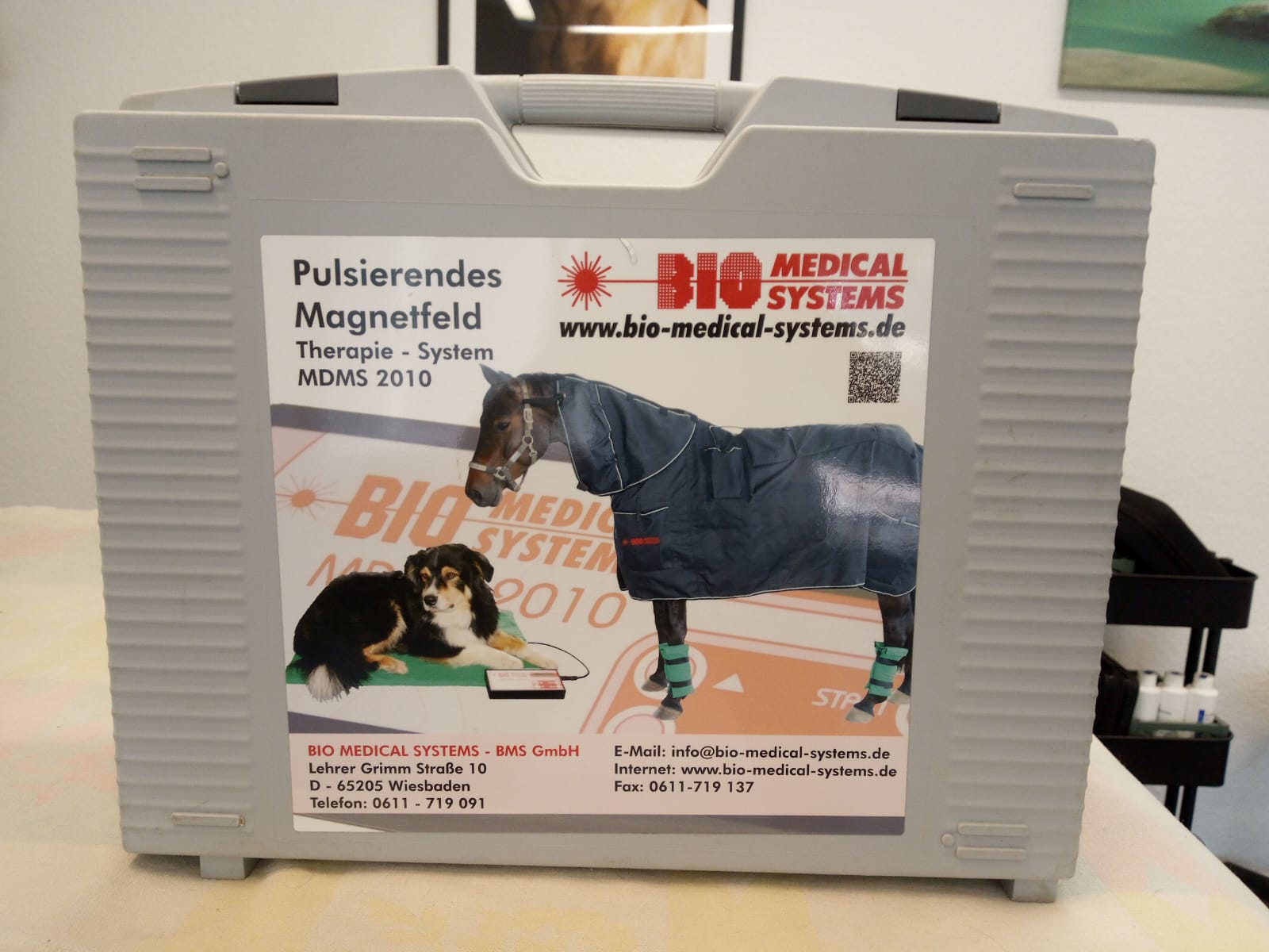 Pulsierendes Magnetfeld-Therapiesystem